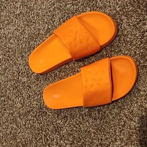 Carrots slides - size 10M